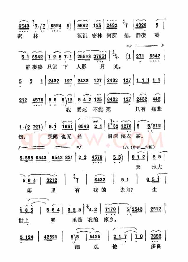 [秦腔]听他言不由我热泪难忍（《祝福》选段）