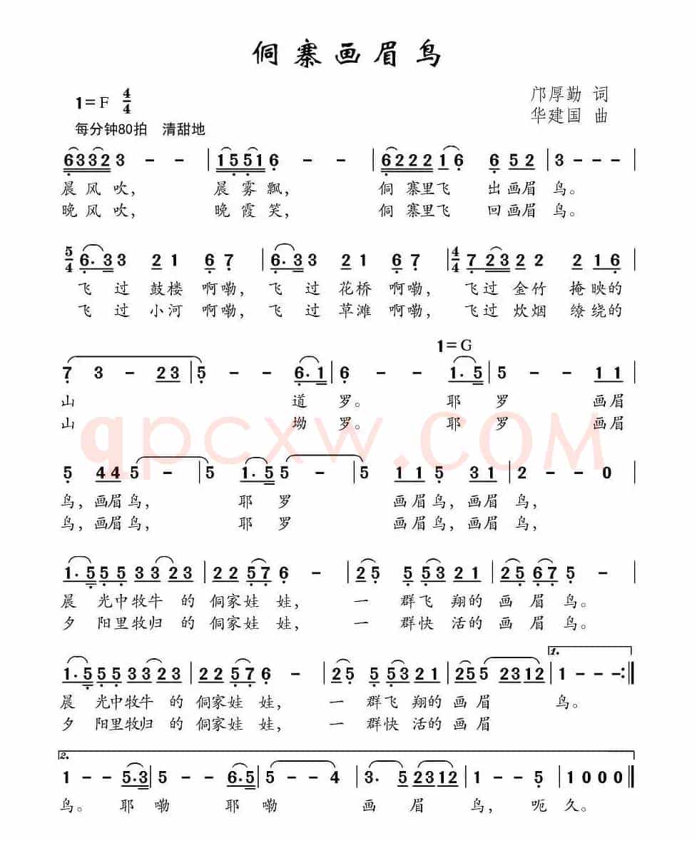 侗寨画眉鸟