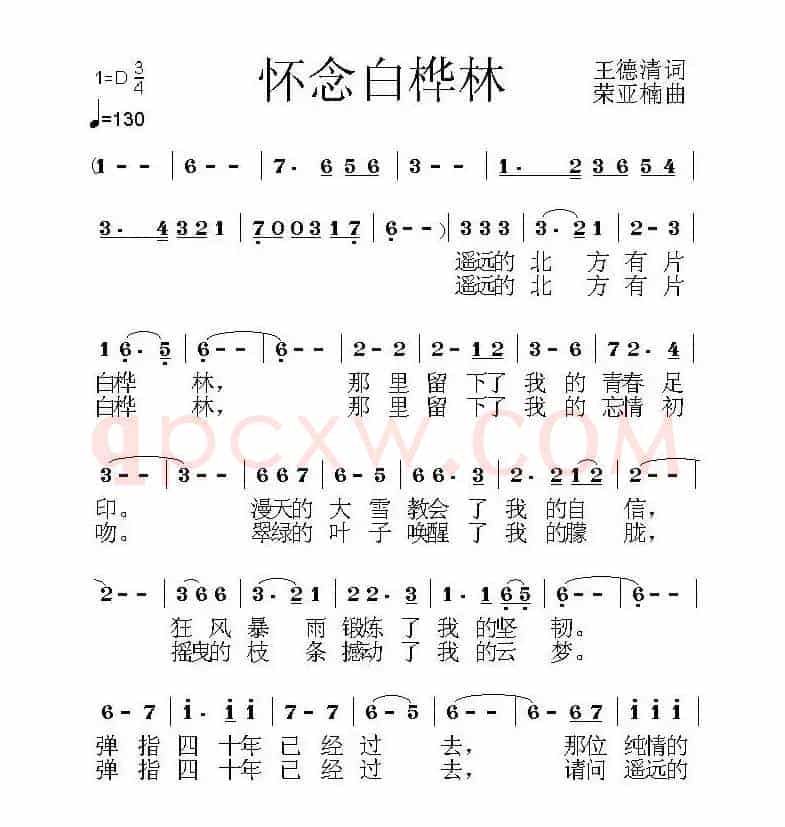 怀念白桦林