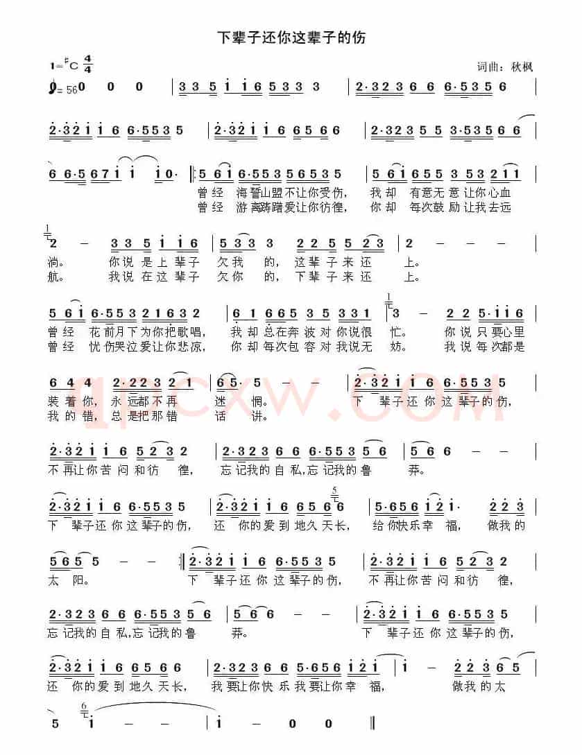下辈子还你这辈子的伤