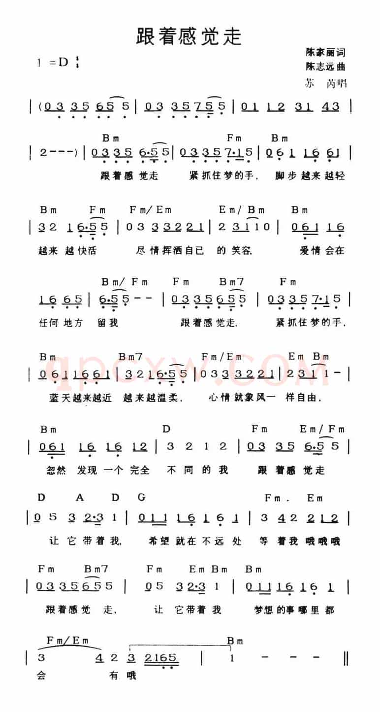 跟着感觉走（带和弦）