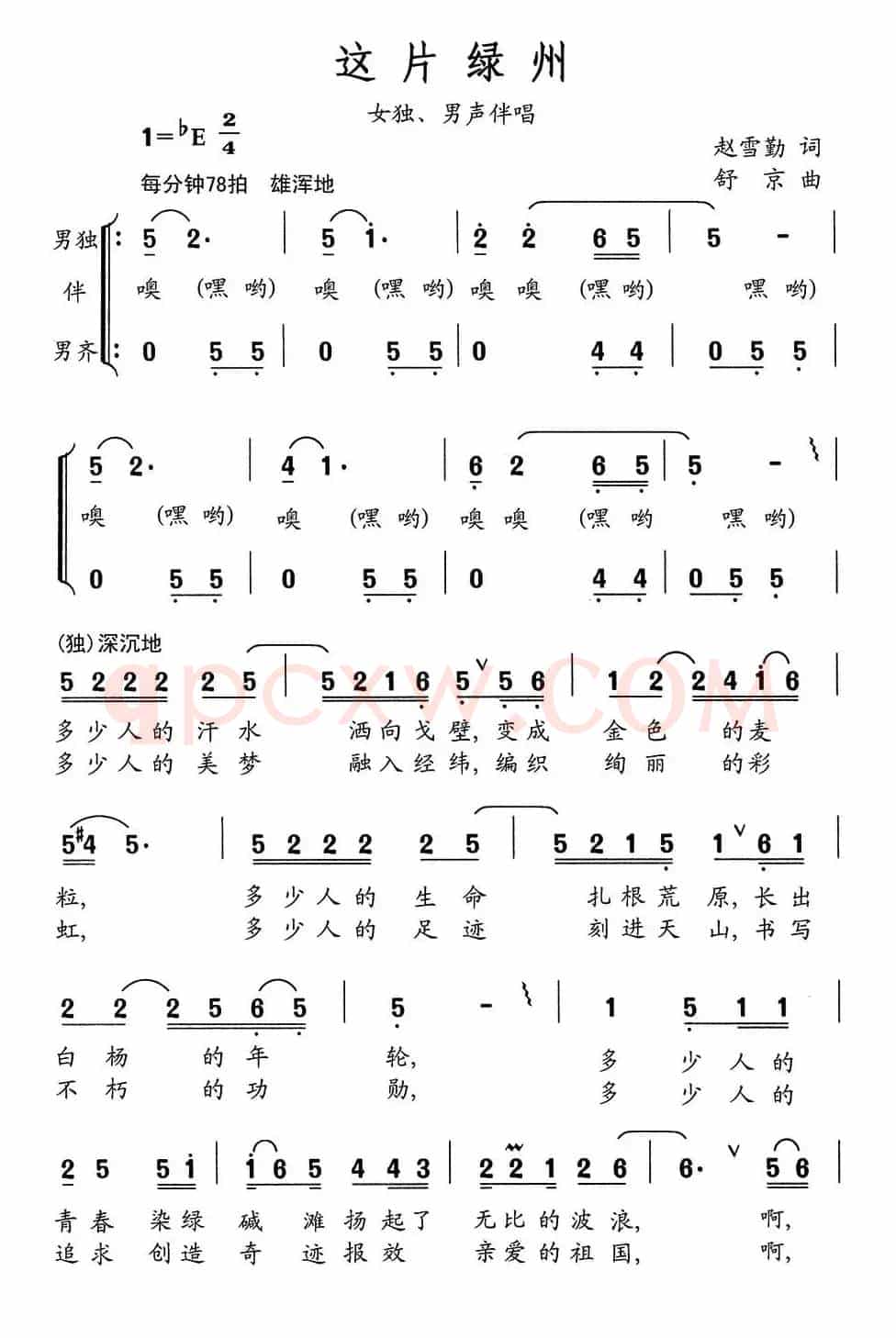 这片绿洲