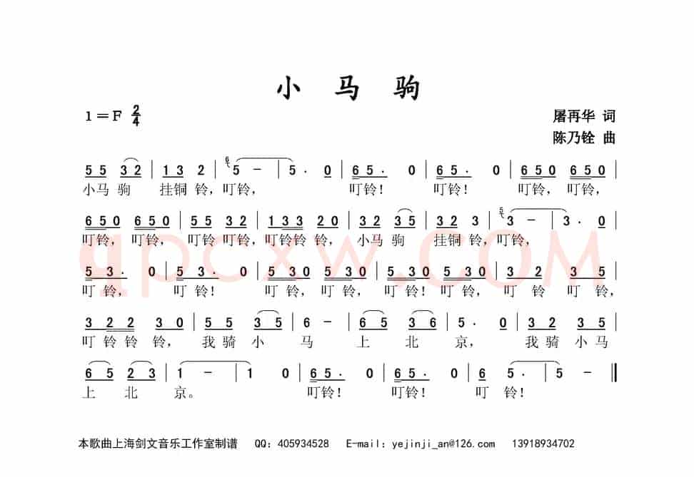 小马驹