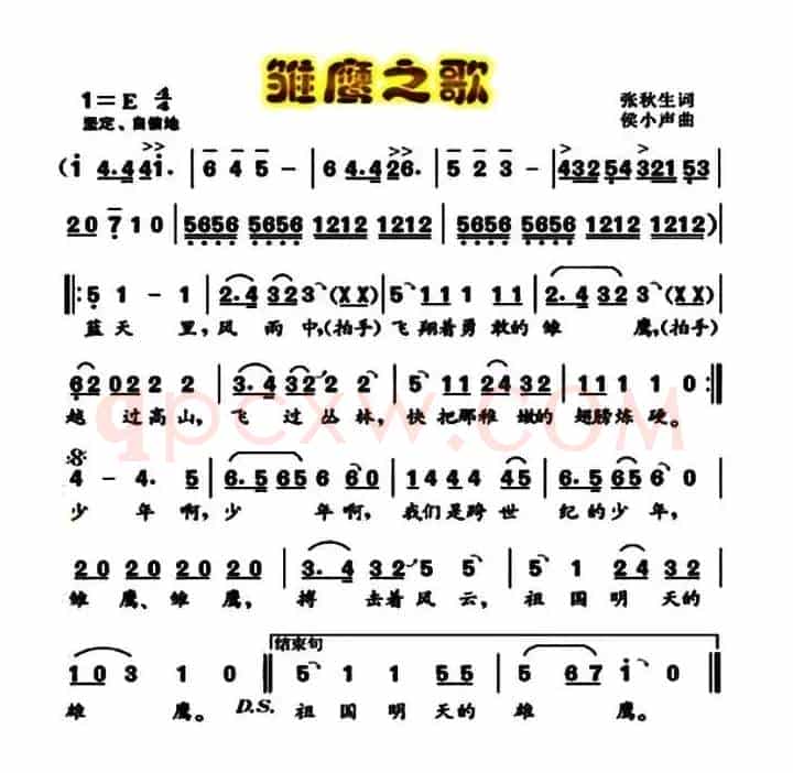 雏鹰之歌