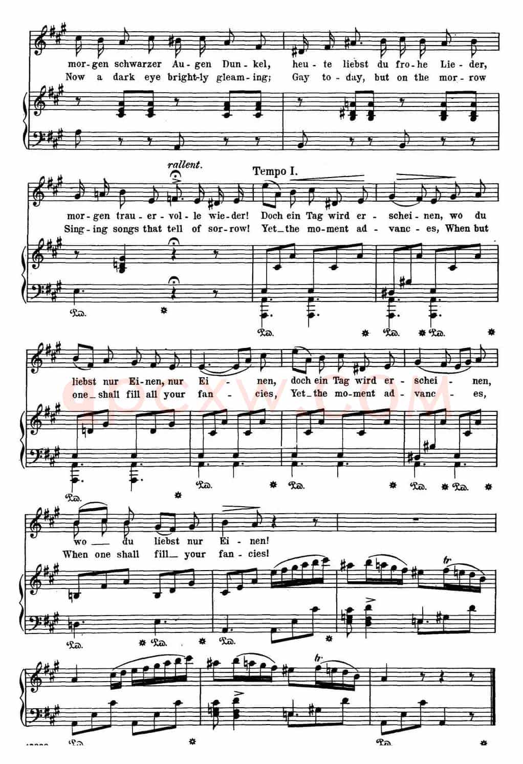 Chopin-17 Polish Songs Op.74,No.5(Was ein junges Madchen liebt. What a young mai(钢琴伴奏谱)