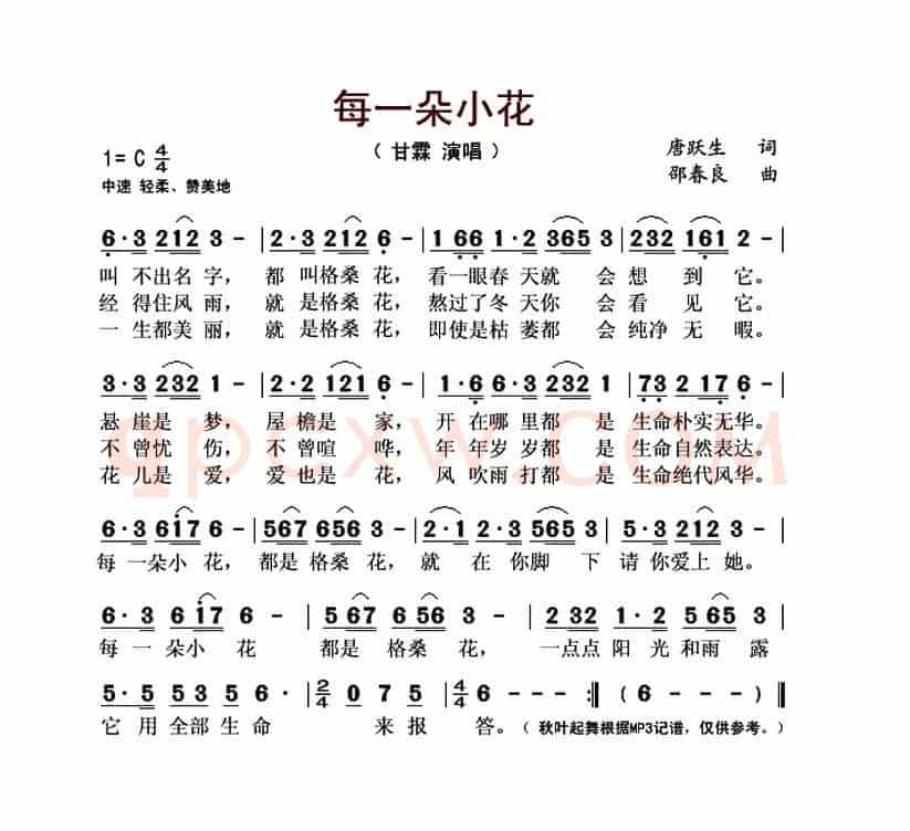 每一朵小花