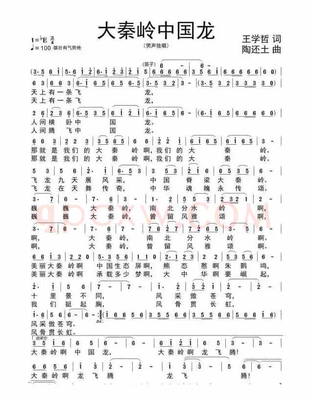 《大秦岭中国龙》