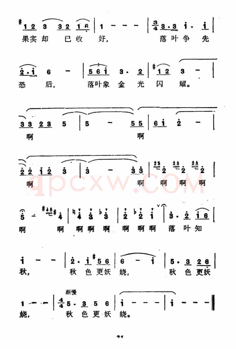 落叶在笑（张藜词 晓野曲）