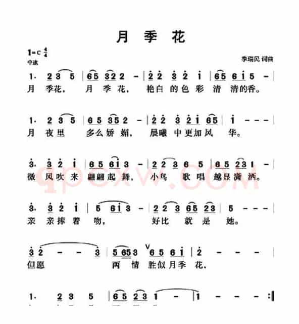月季花（季瑞民词曲）