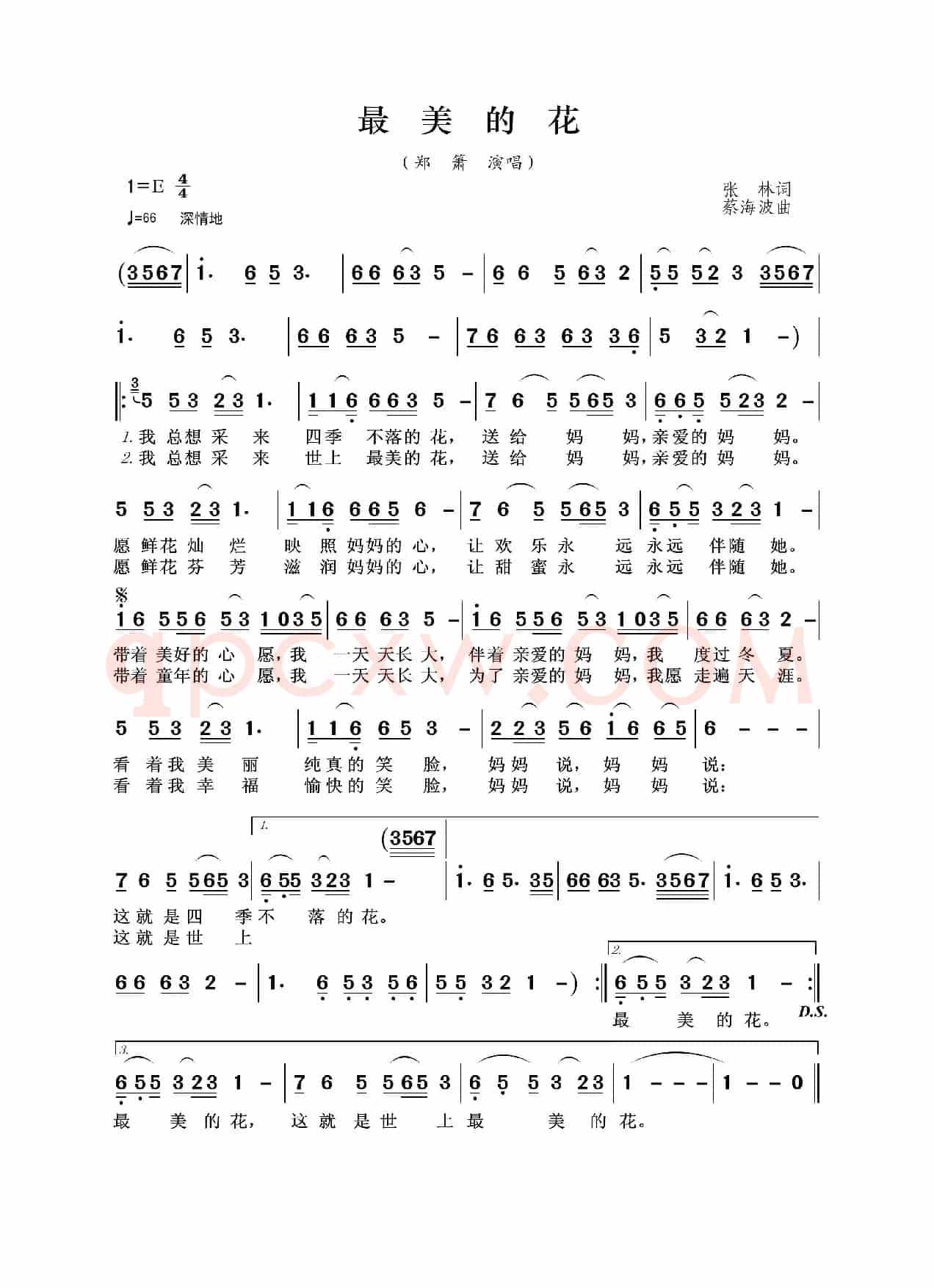 最美的花（张林词 蔡海波曲）