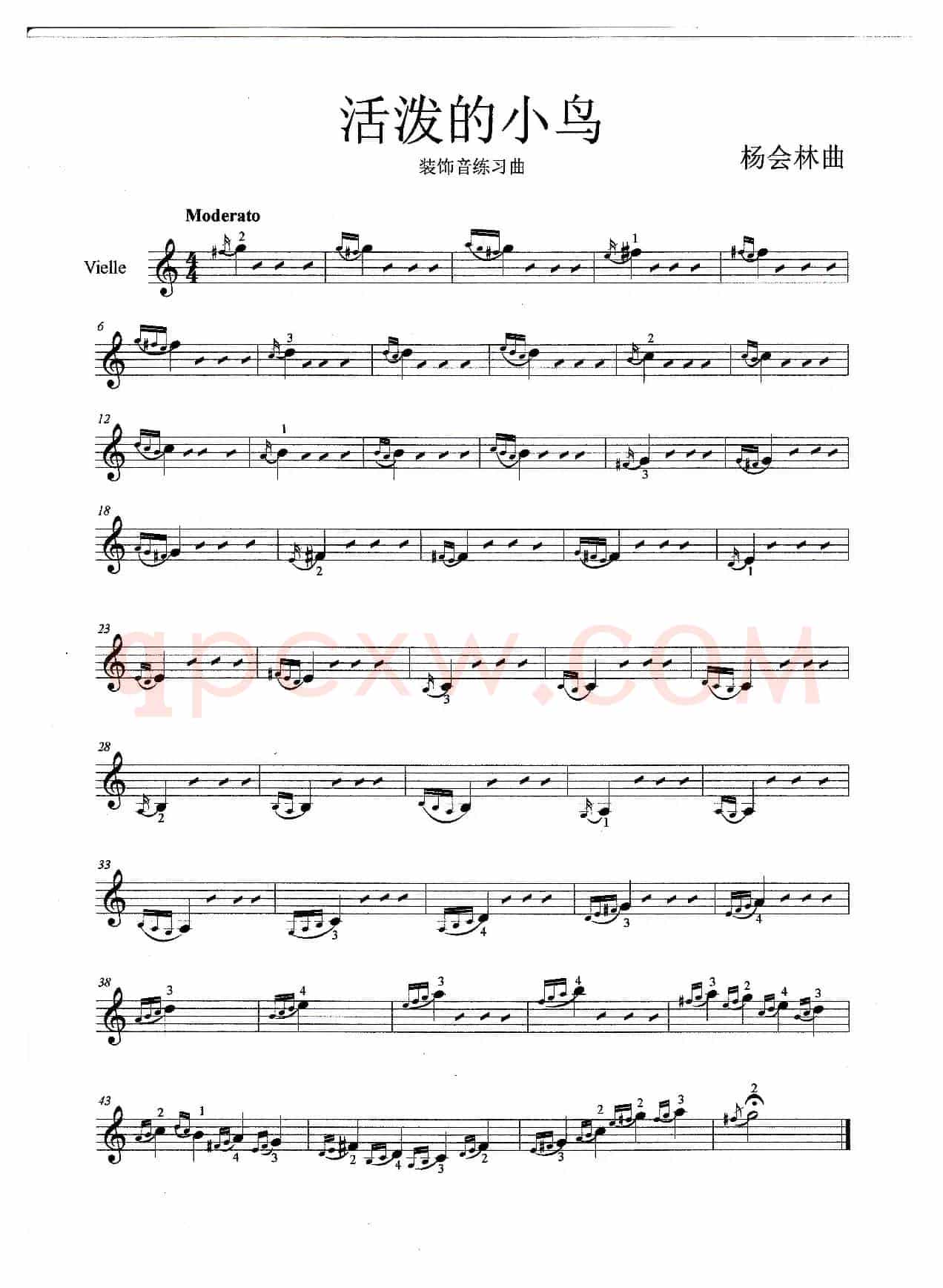 活泼的小鸟（小提琴曲）