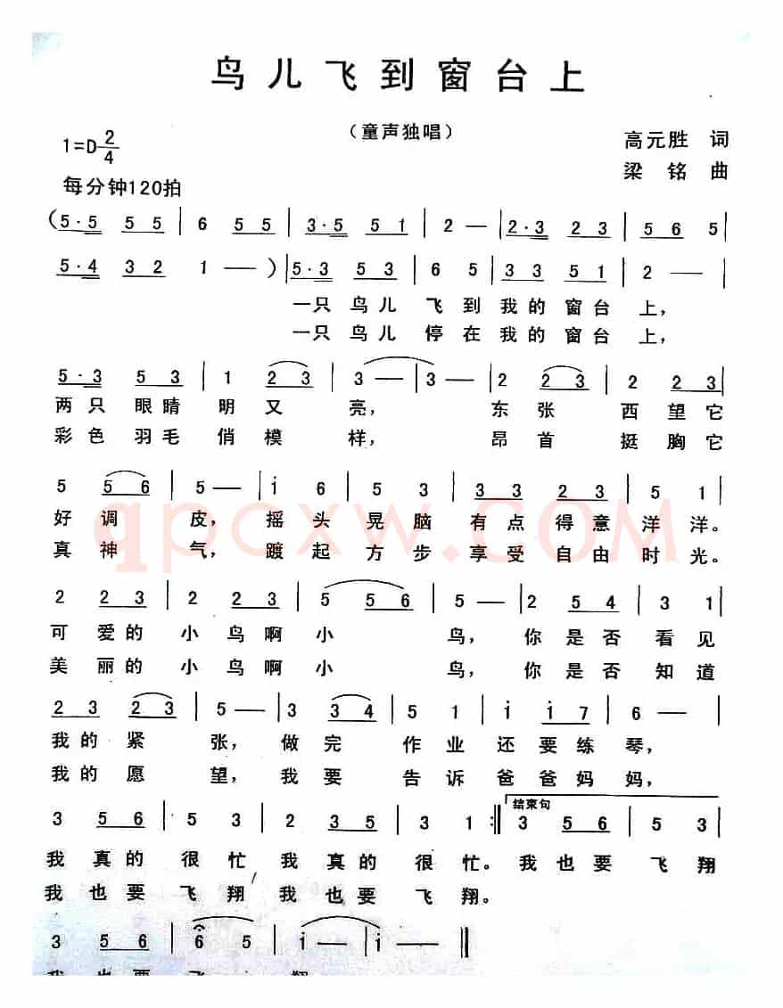 鸟儿飞到窗台上