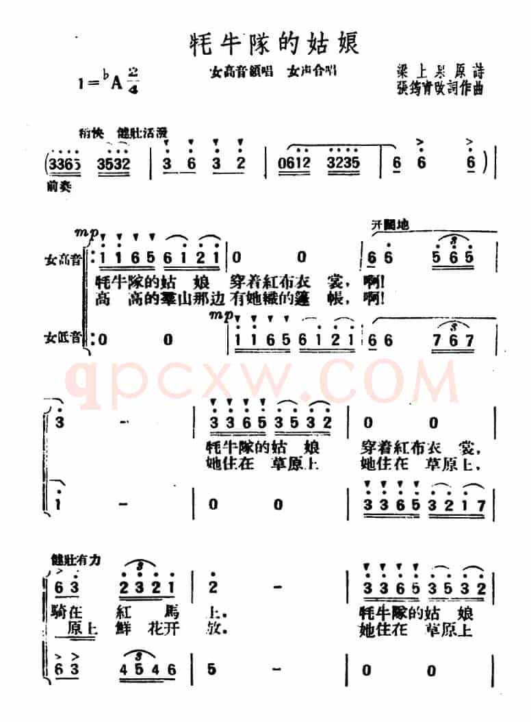 牦牛队的姑娘 