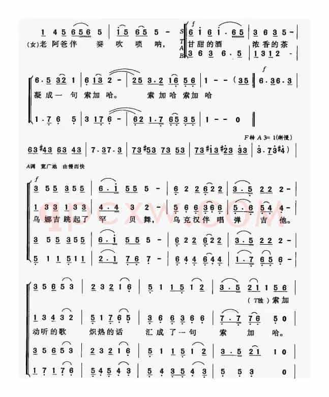 索加哈