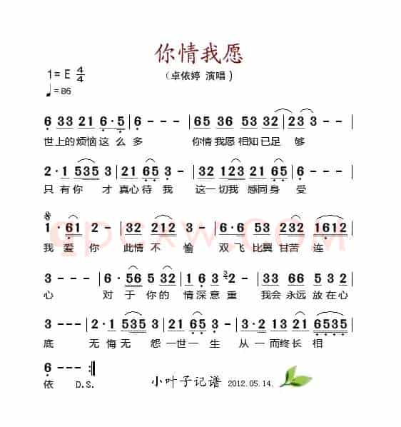 你情我愿