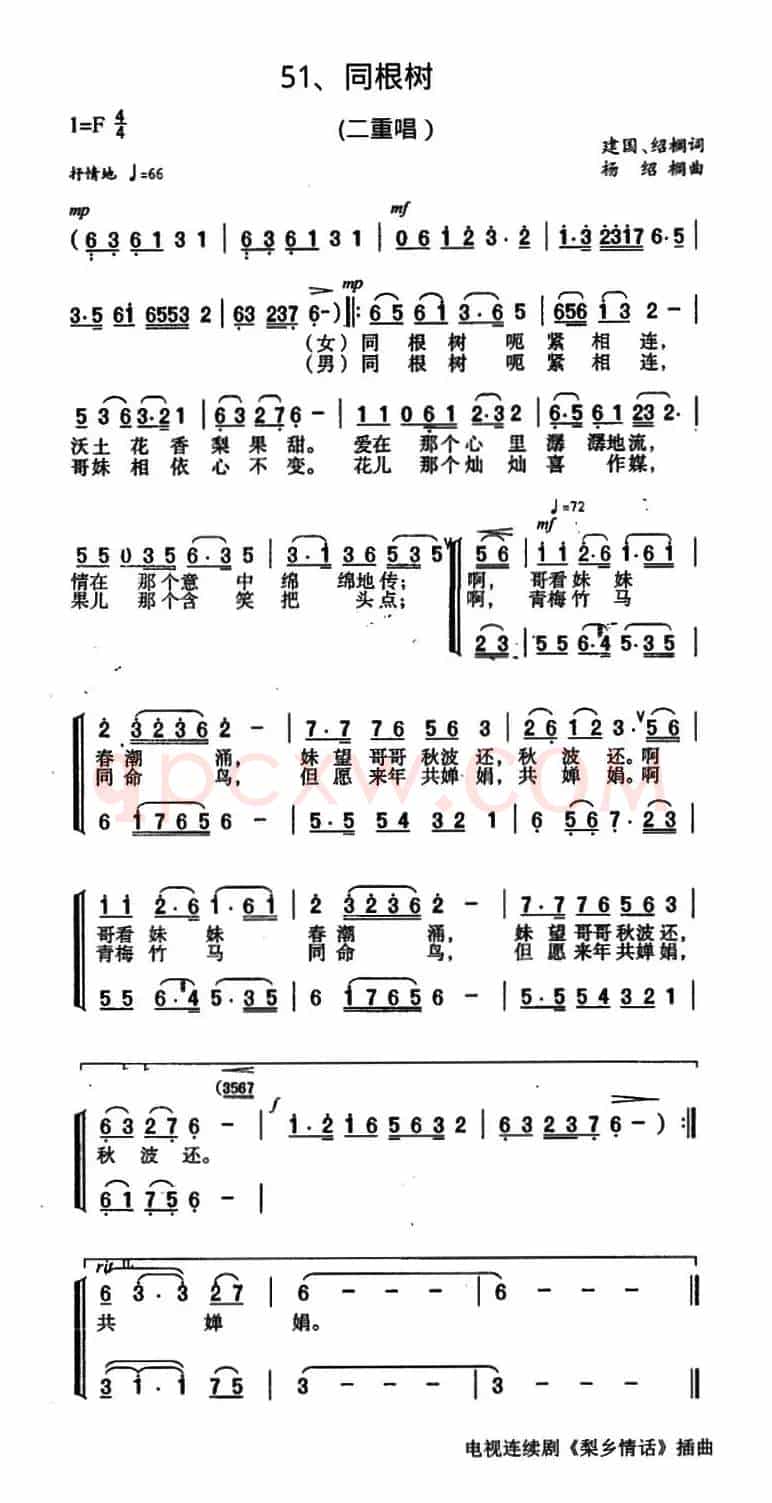 同根树（电视剧《梨乡情话》插曲）