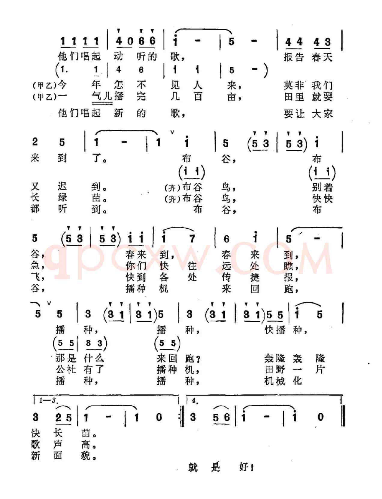 布谷鸟的歌 （儿童表演唱）