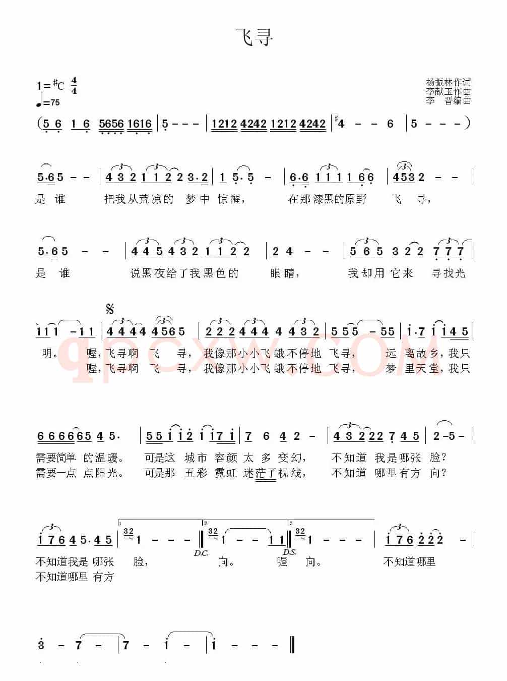飞寻