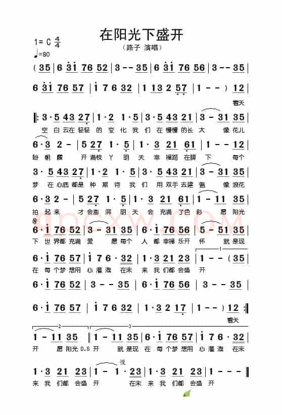 在阳光下盛开