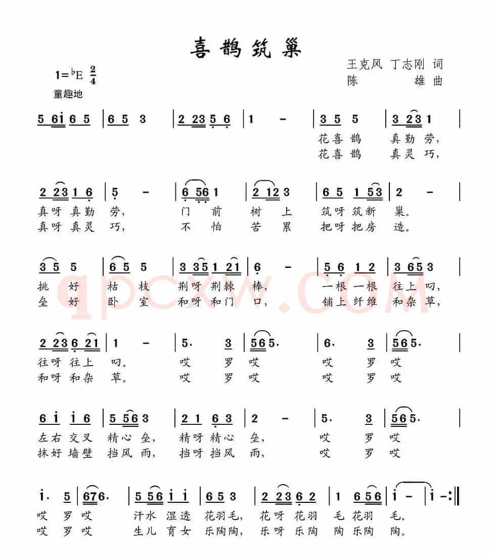 喜鹊筑巢