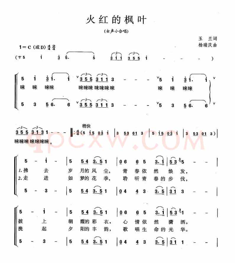火红的枫叶