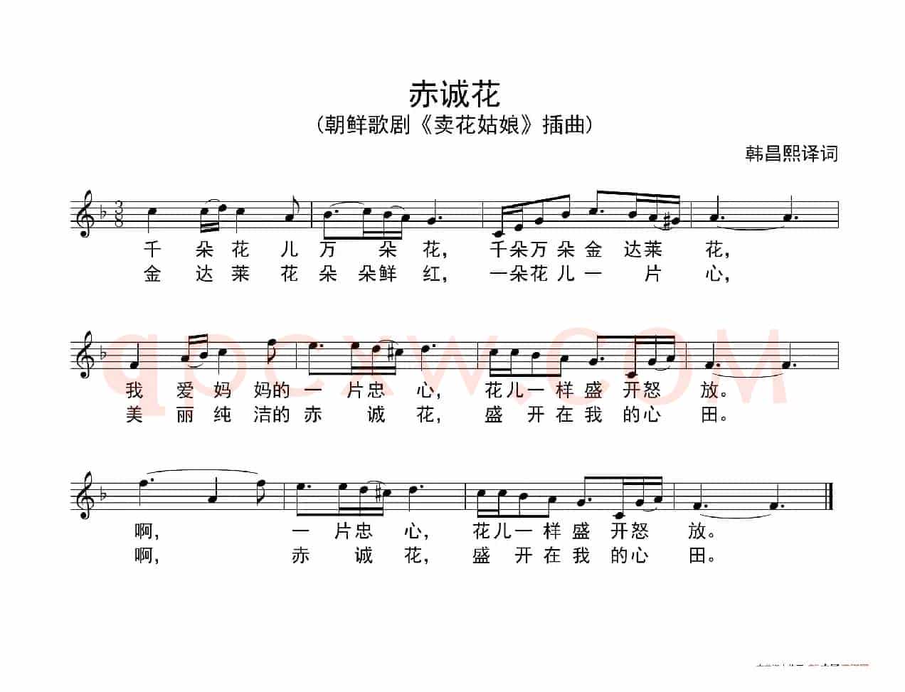 赤诚花（朝鲜歌剧《卖花姑娘》选曲、五线谱））