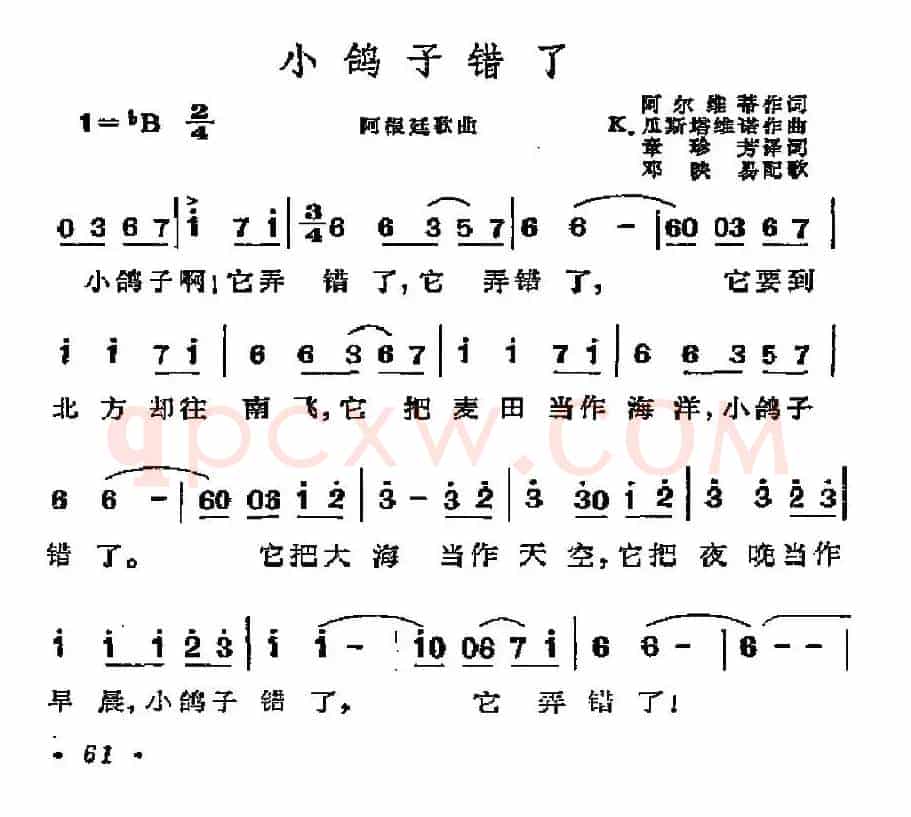 [阿根廷]小鸽子错了