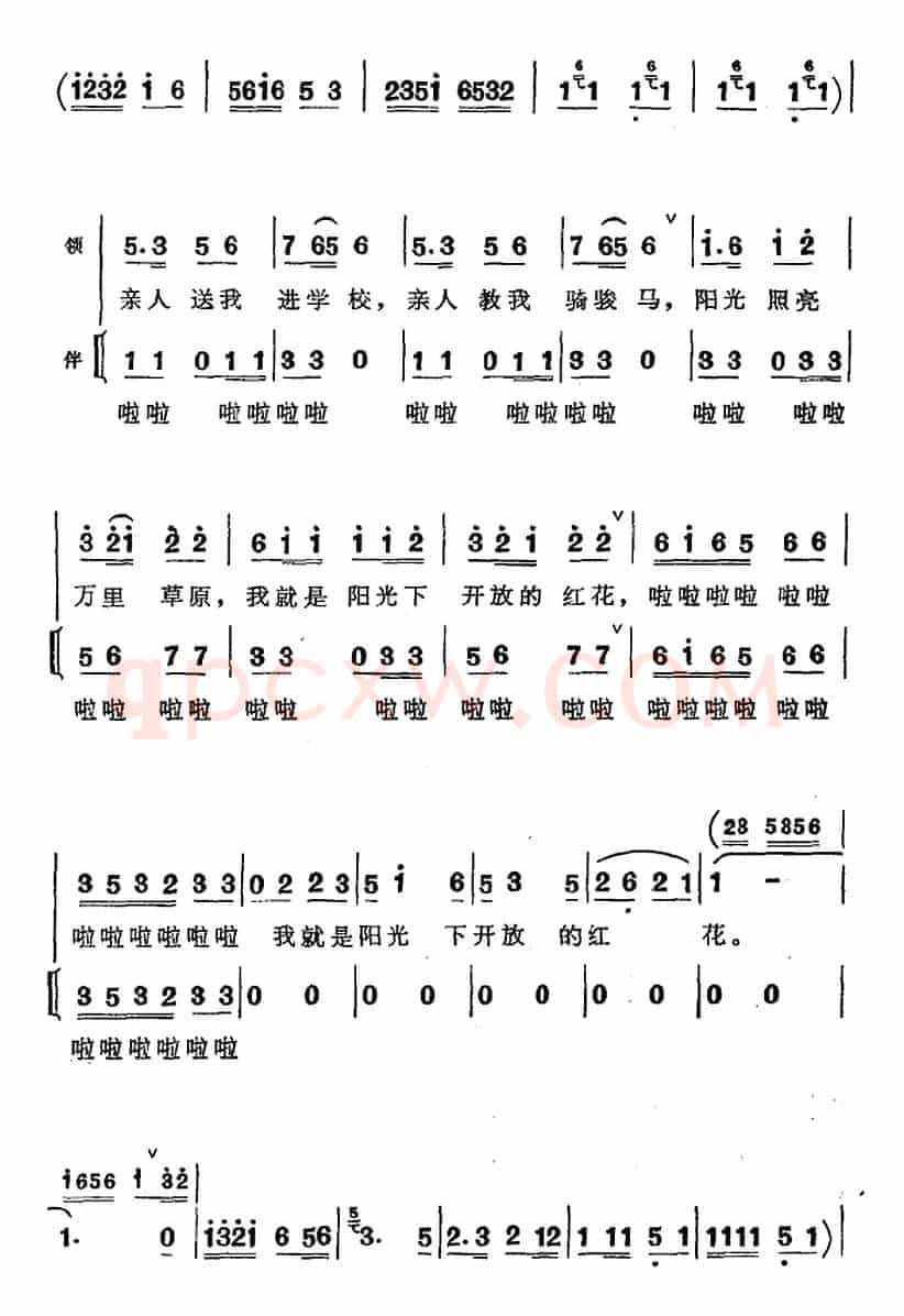 我是雅鲁藏布江边小卓玛