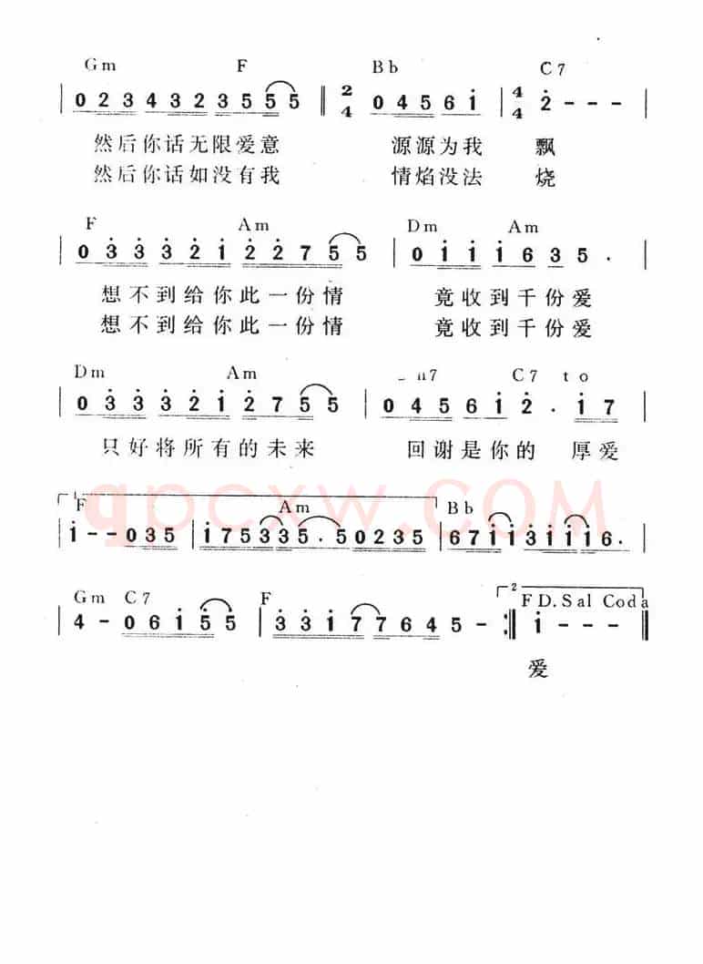 白玫瑰