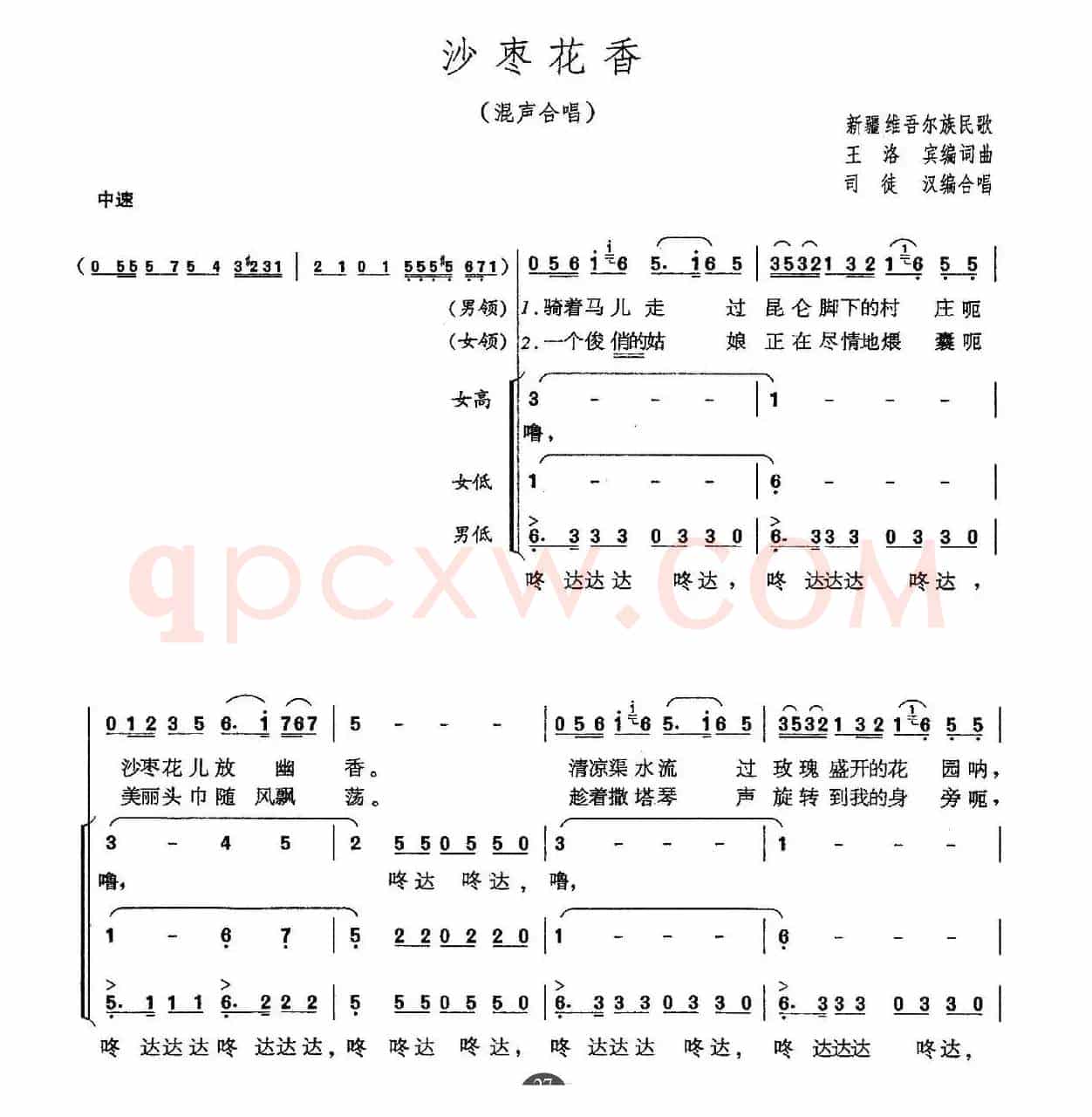 沙枣花香