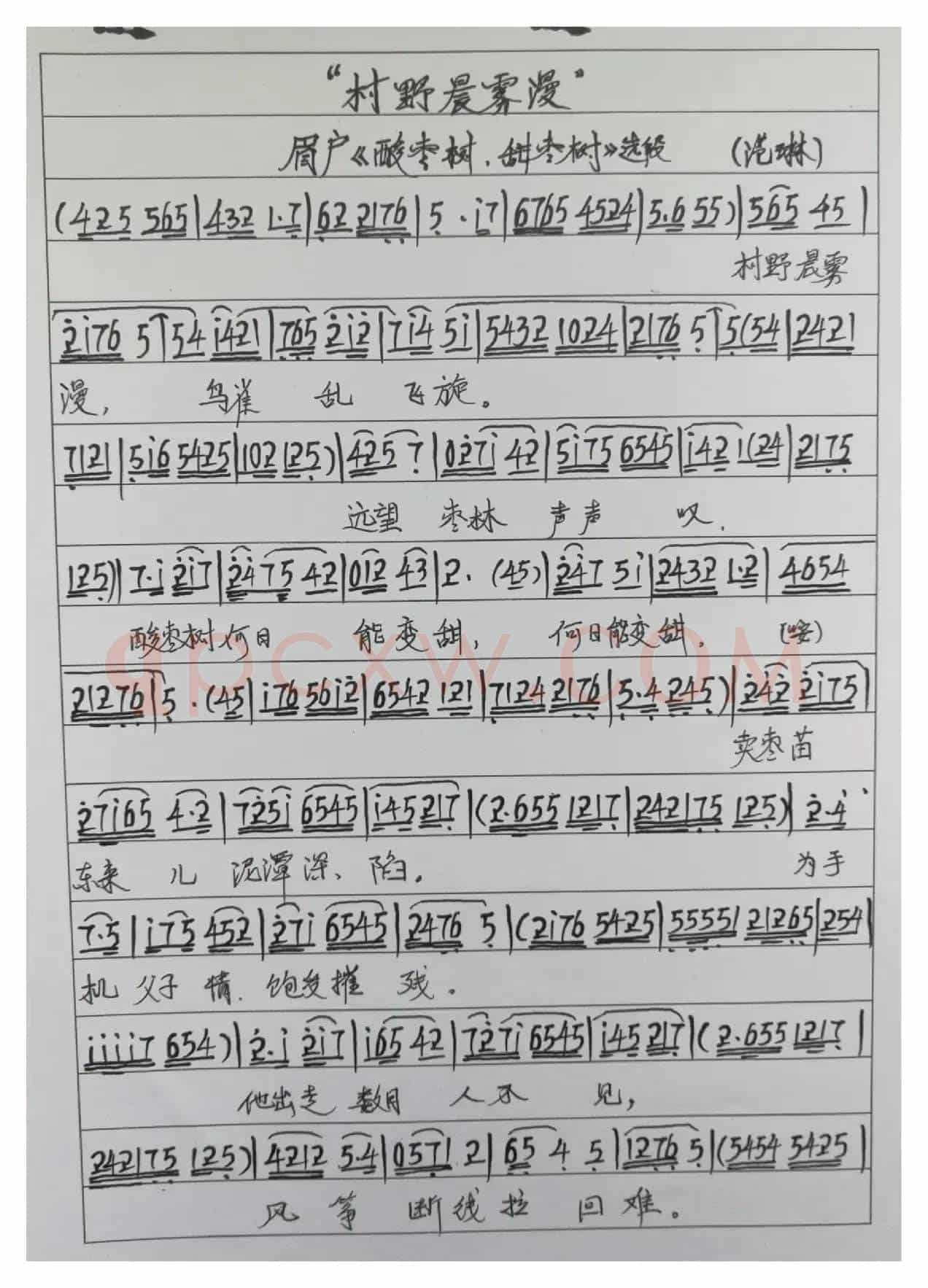 眉户酸枣树甜枣树