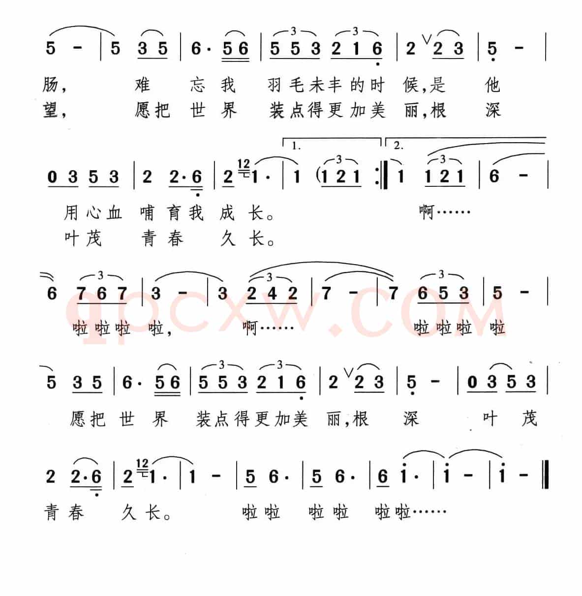 雏燕与小花
