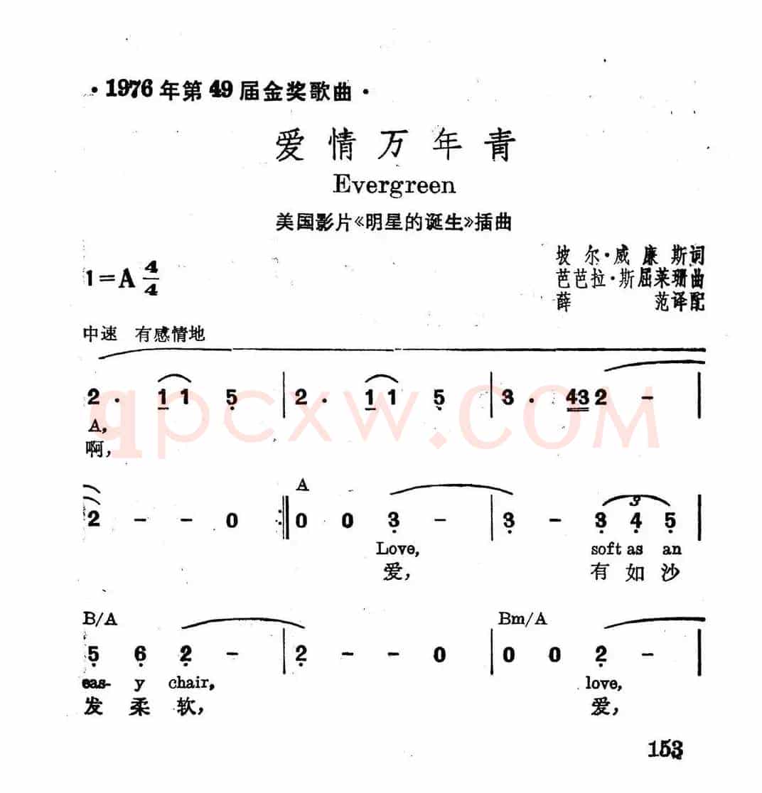 [美]爱情万年青