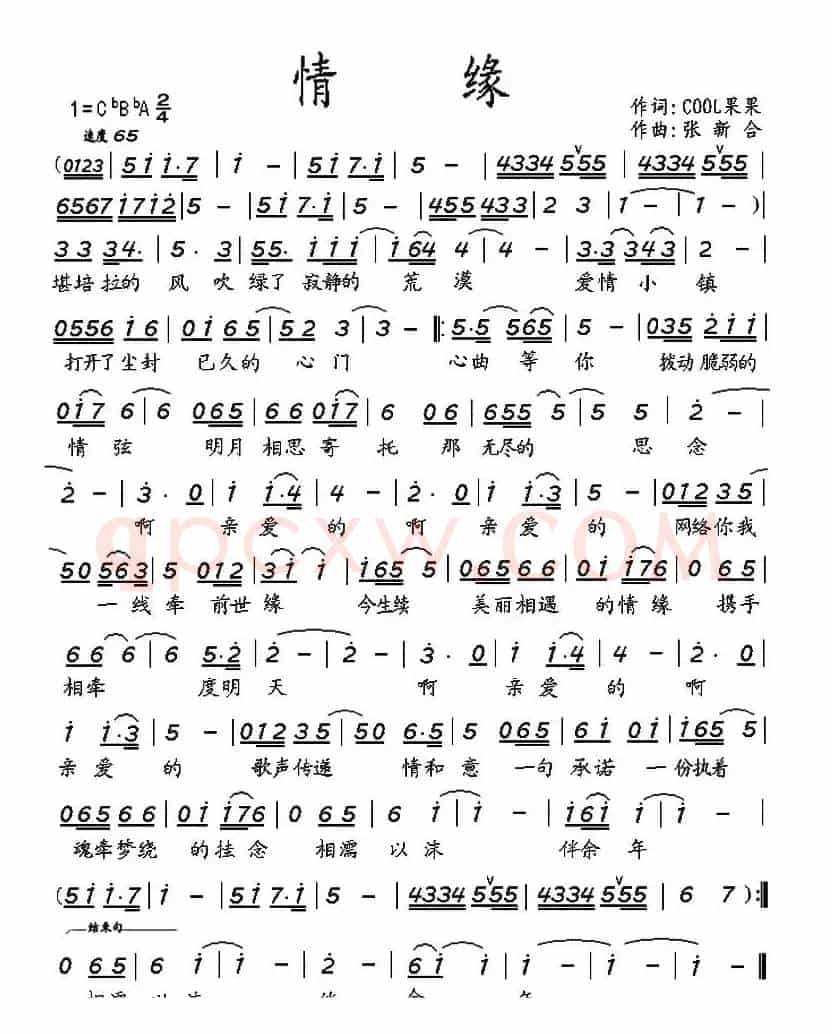 情缘（cool果果词 张新合曲）