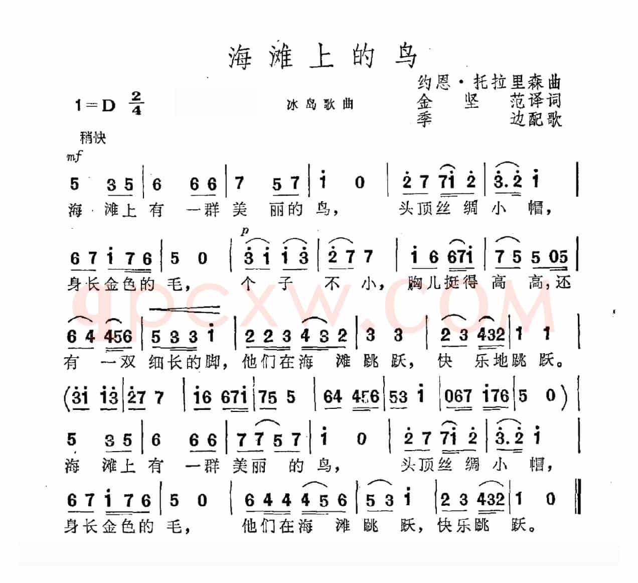 [冰岛]海滩上的鸟 