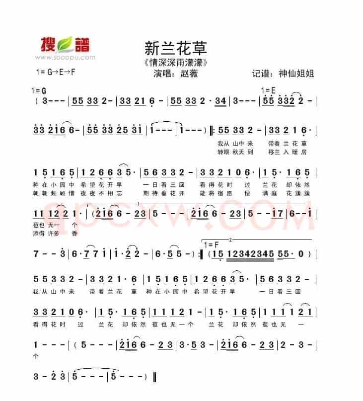 新兰花草（《情深深雨濛濛》专辑歌曲）