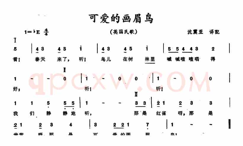 [英]可爱的画眉鸟 