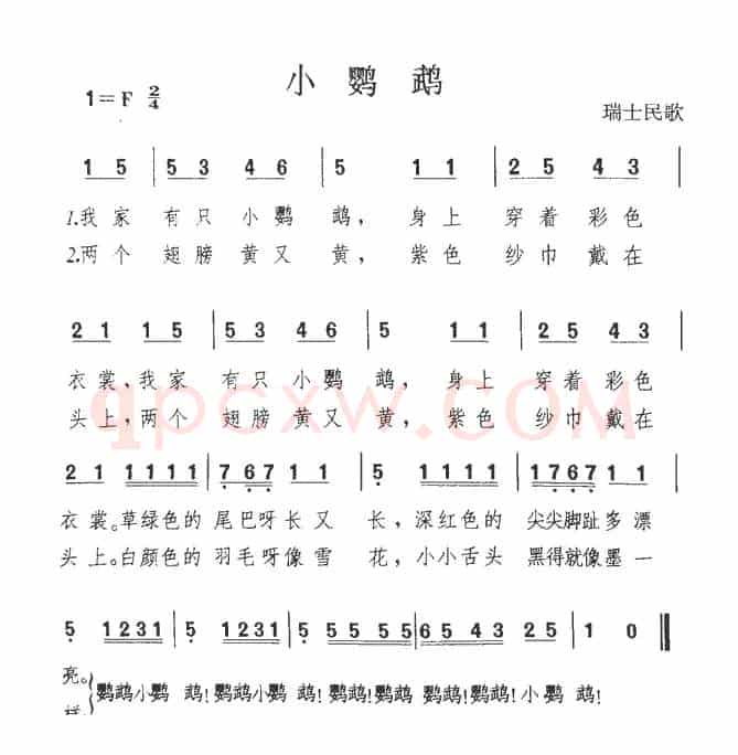 [瑞士]小鹦鹉