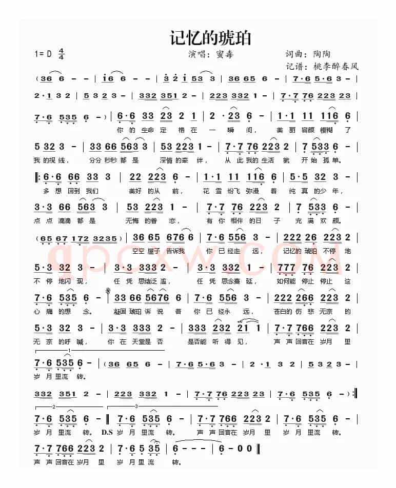 记忆的琥珀