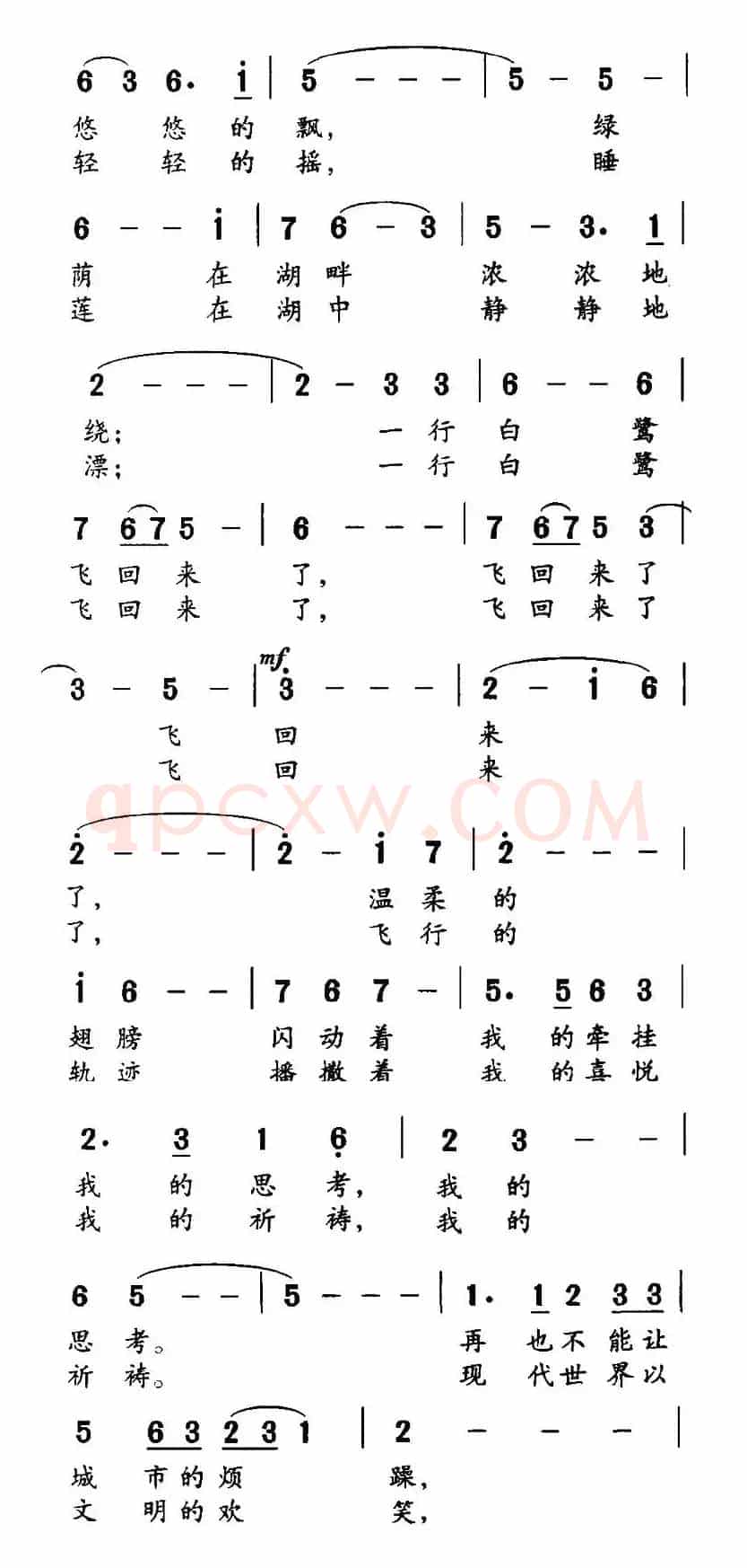 白鹭飞回来了