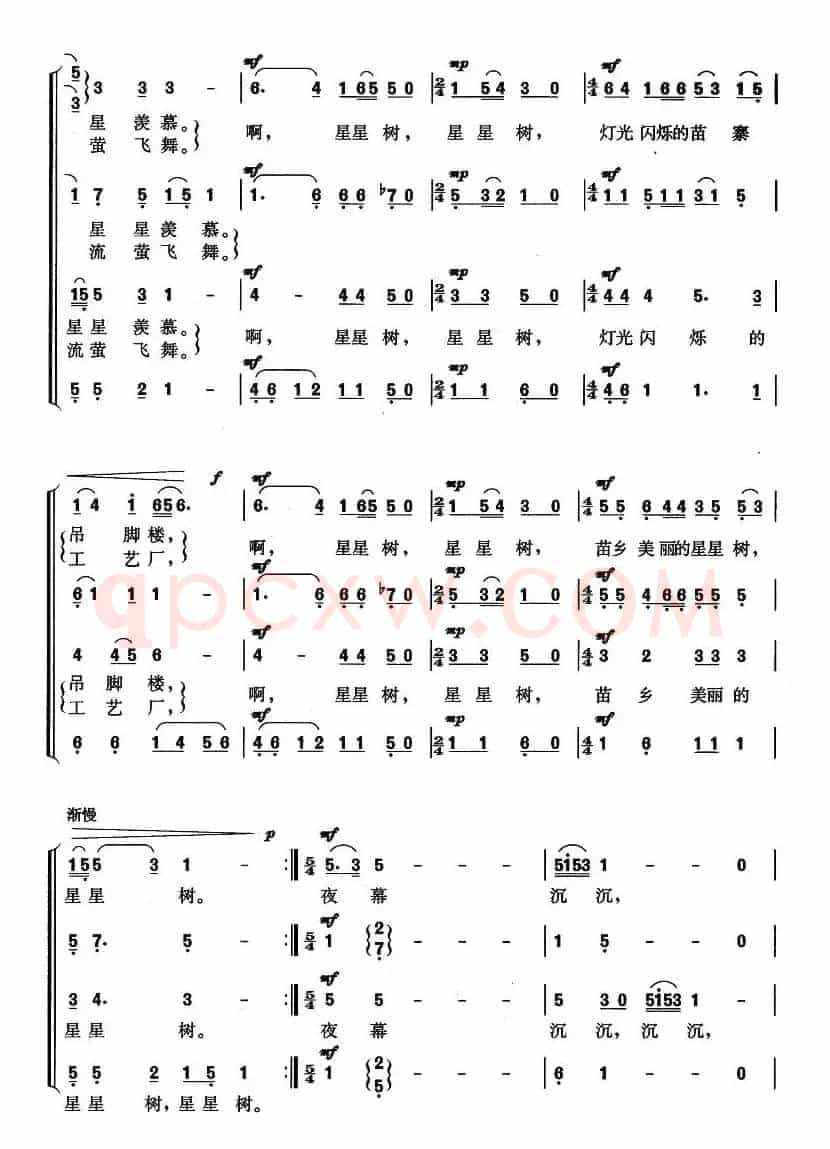 苗乡星星树