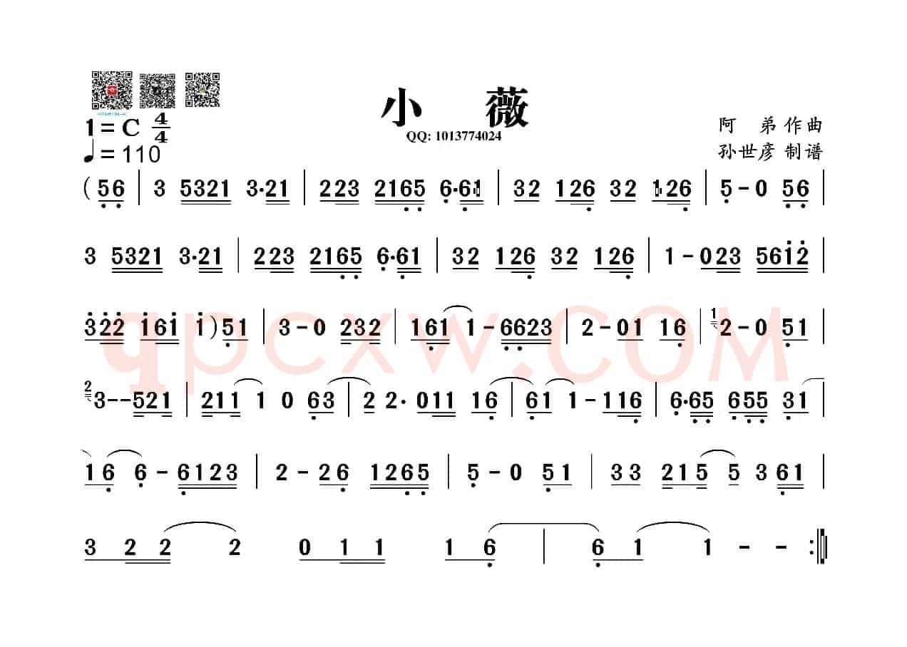 小薇（葫芦丝旋律谱）