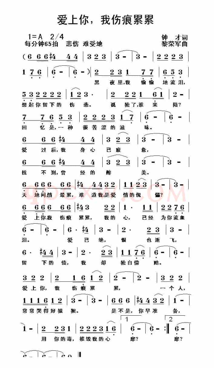 爱上你，我伤痕累累