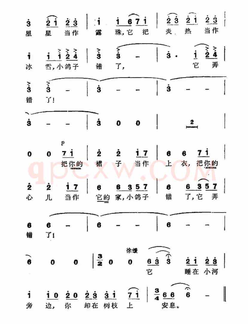 [阿根廷] 小鸽子错了