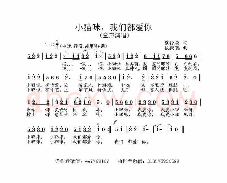 小猫咪，我们都爱你