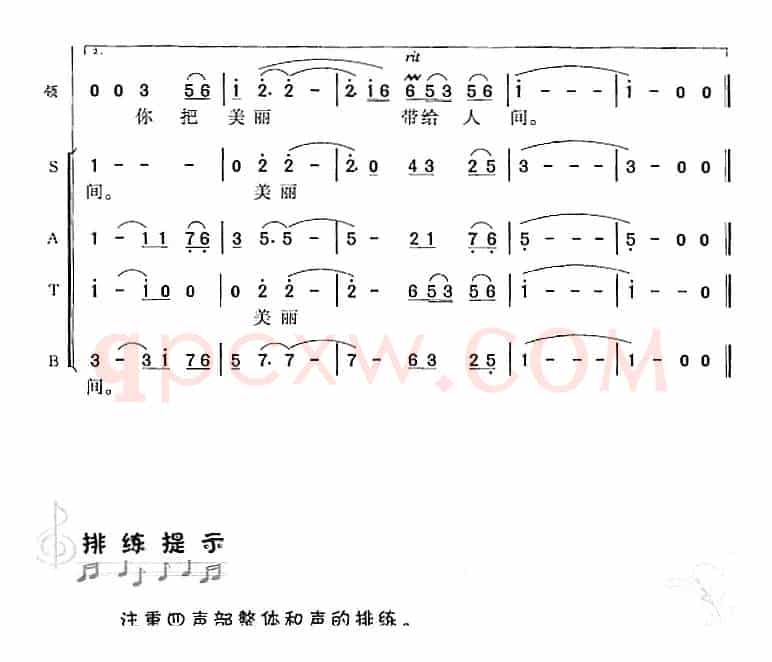 牡丹之歌