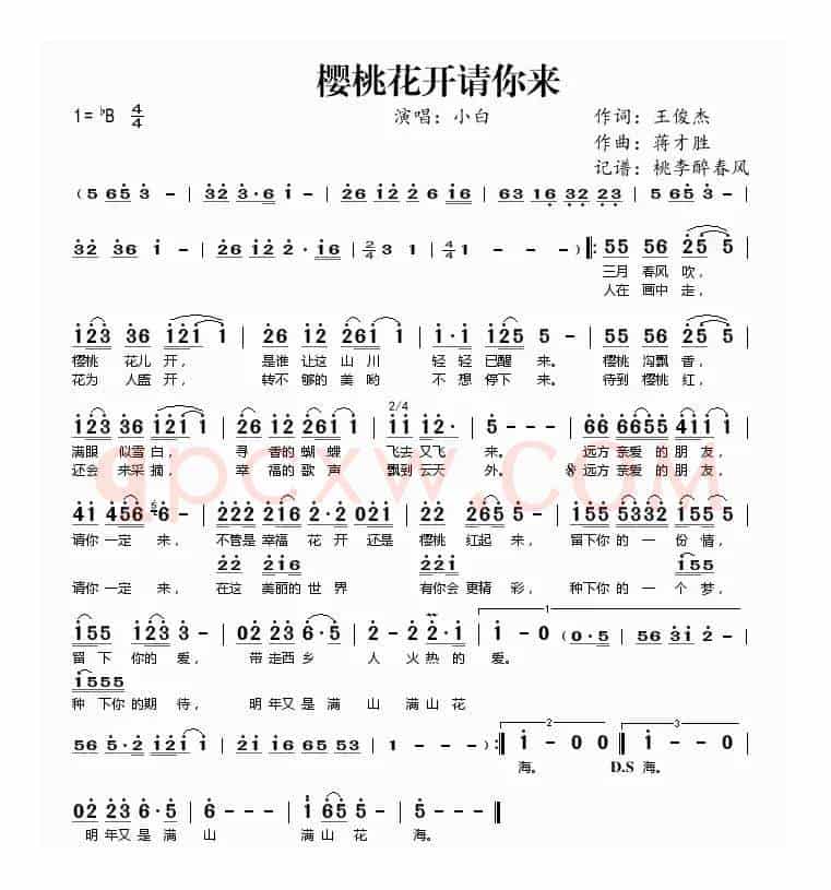 樱桃花开请你来