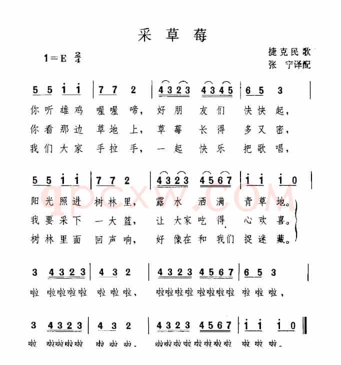 [捷克]采草莓