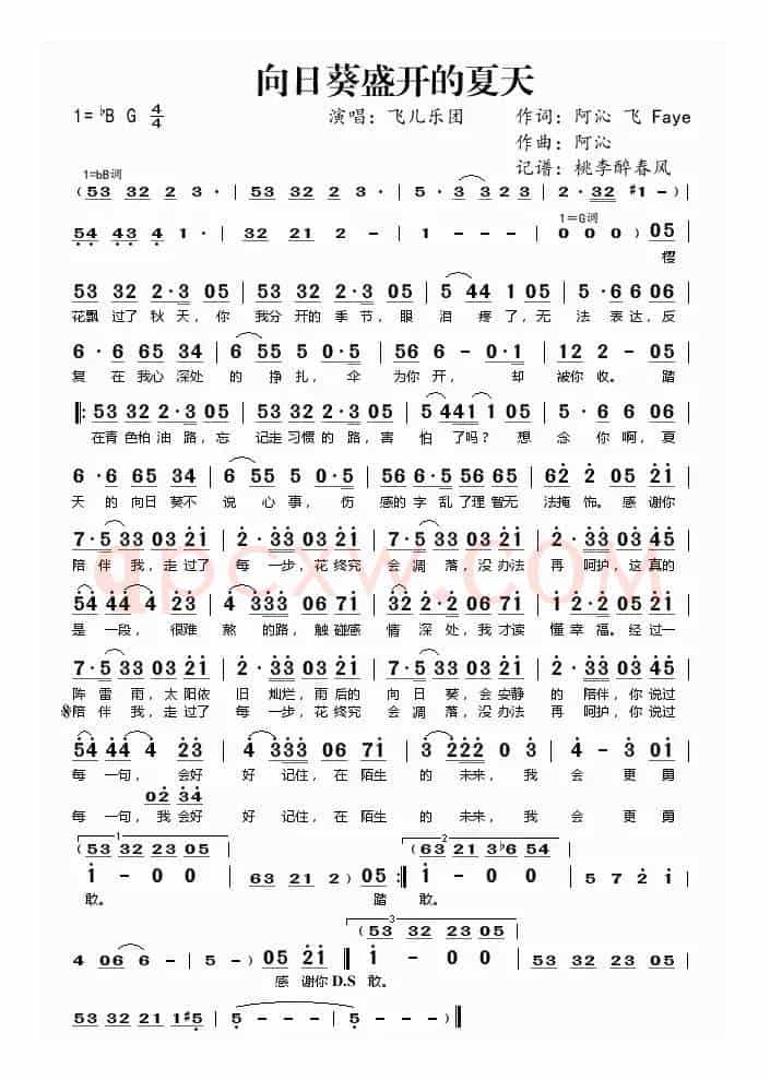 向日葵盛开的夏天