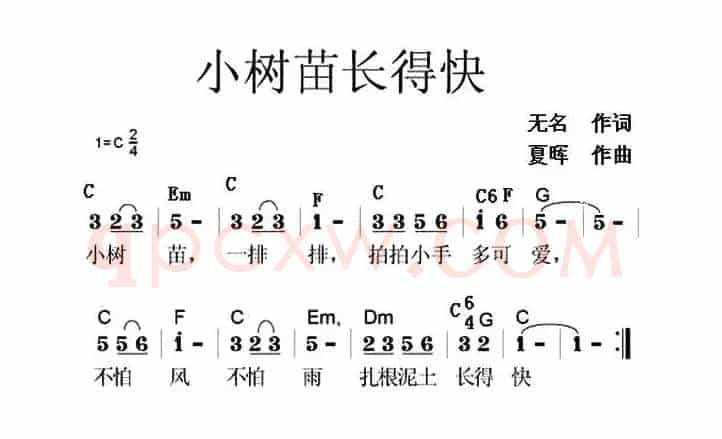 小树苗长得快
